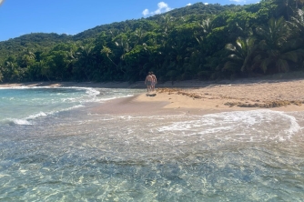 Roatan East End Tour – Saint Helene & Mangroves